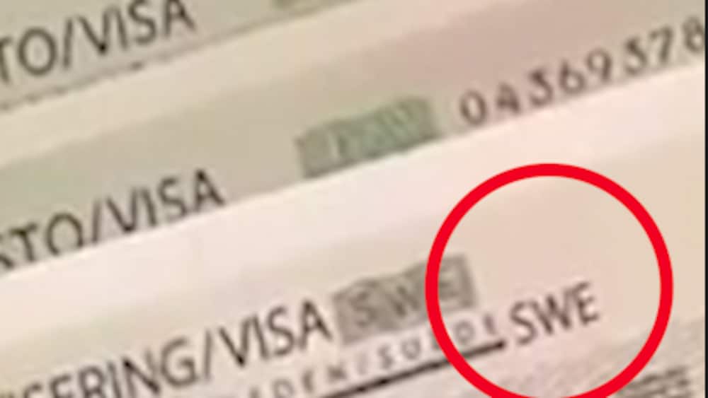 Falskmyntare gripen – sålde visum till Sverige