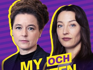 milj-partiet