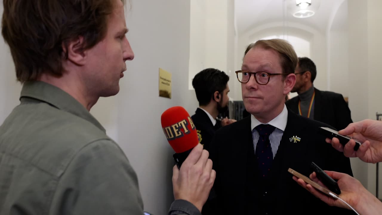 Billström om Gaza-kritiken: ”Strävar efter enighet”