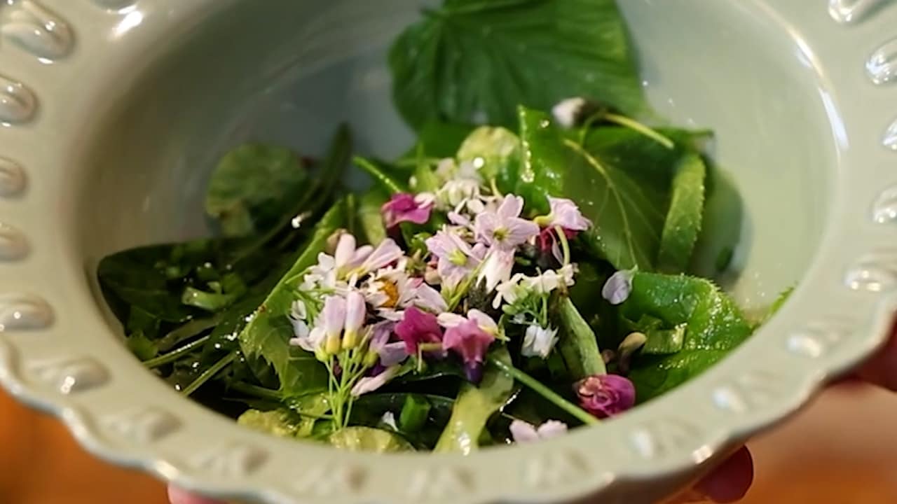 Erics vildplockade sallad