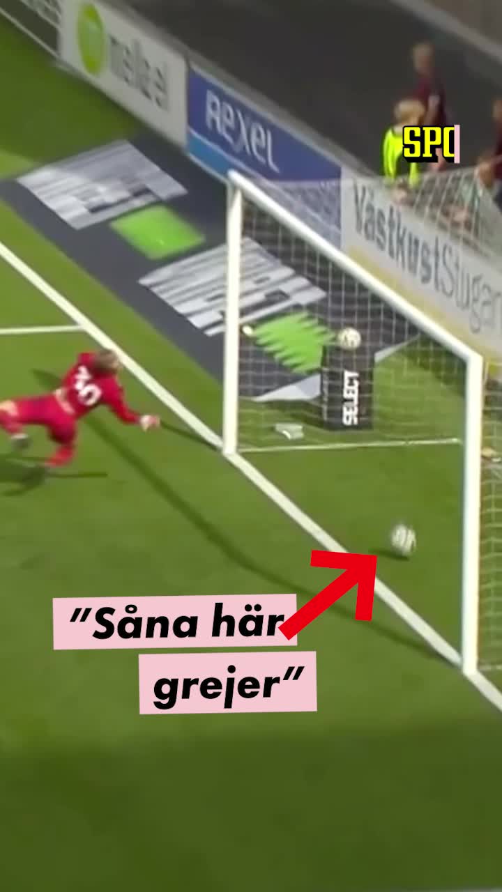 Borde Sverige införa goal-line technology?