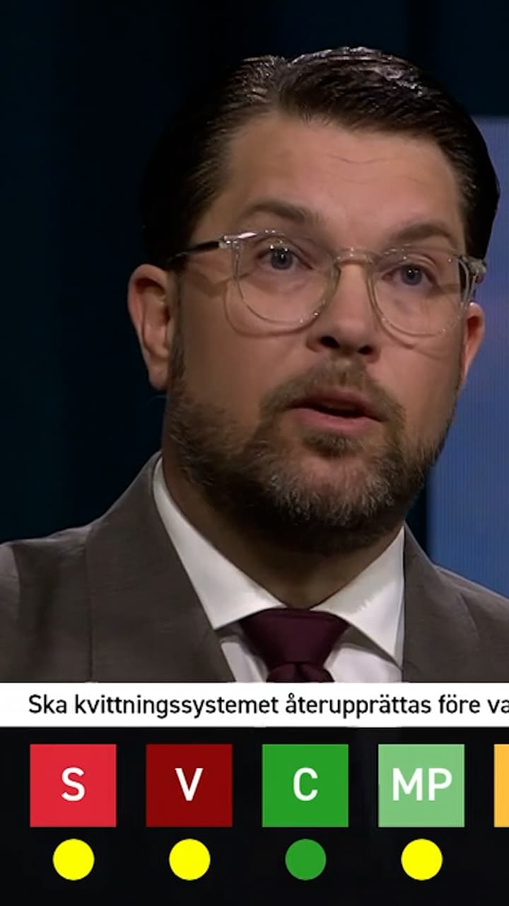 Elsa Widding anklagar Jimmie Åkesson för lögn efter mutanklagelser – SD:s kvittningsfusk bekräftas i protokoll — image 3