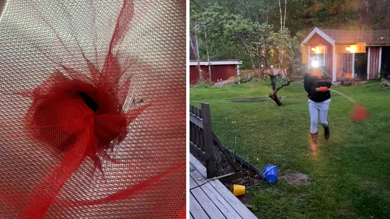 Alexander, 34, krigar mot myggen: &ldquo;Som ett svart moln&rdquo;