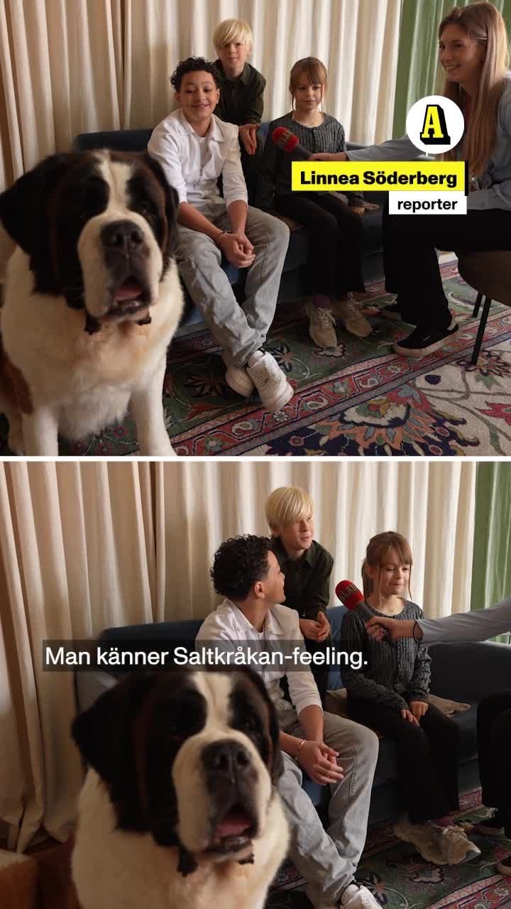 Möt skådespelarna i nya "Vi på Saltkråkan"