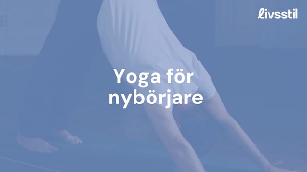 Nedåtgående hund ur Aftonbladets yogaskola