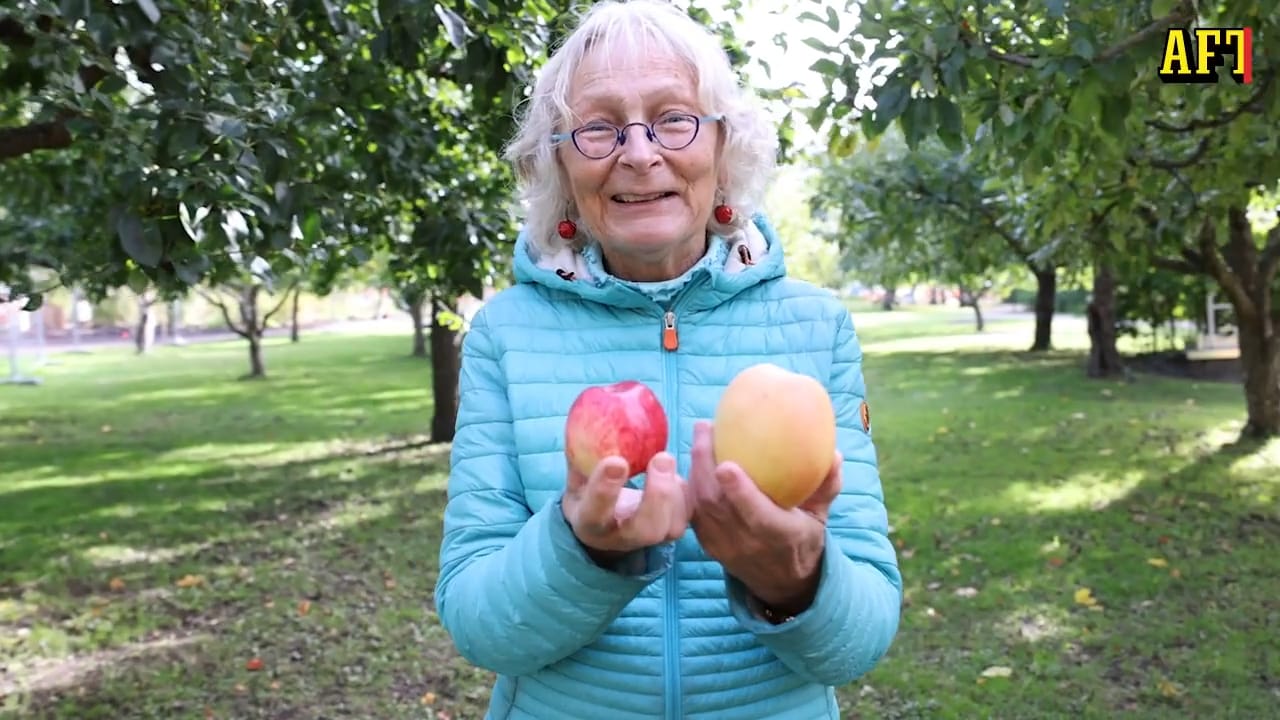 Anna, 71, äter ett kilo äpplen om dagen: &ldquo;De är ju så goda&rdquo;