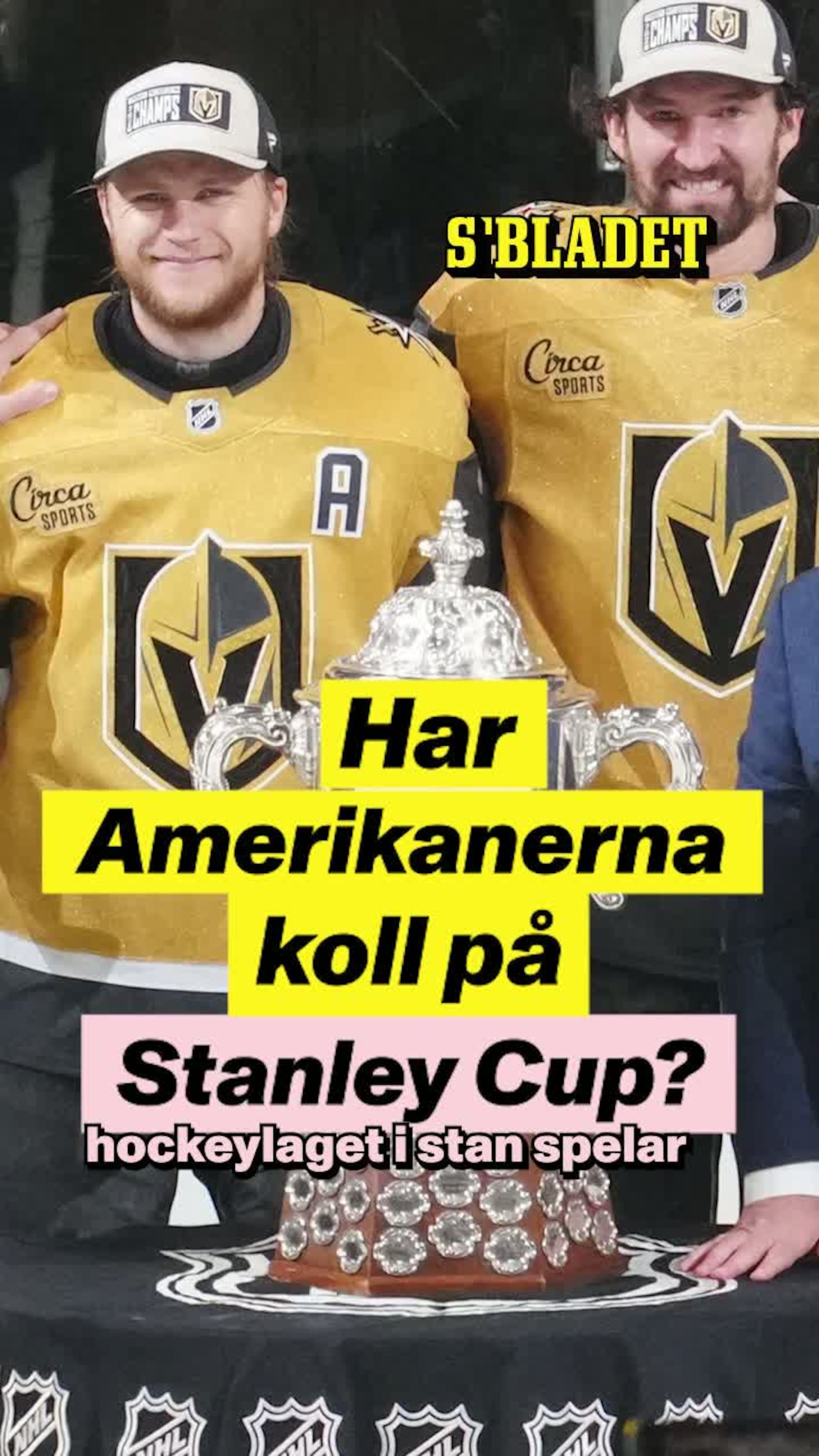 ”Ja, du sa ju just det”