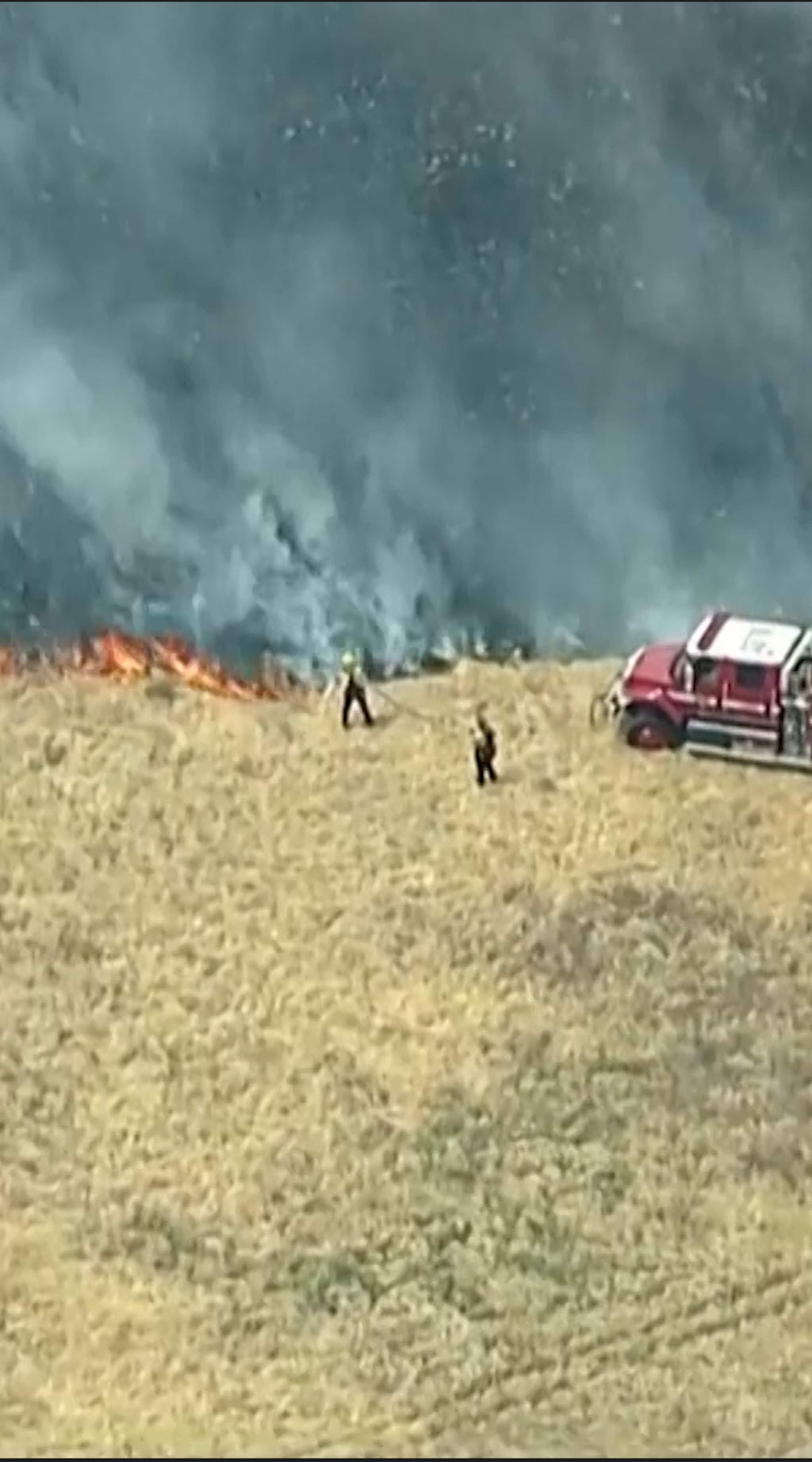 Stor skogsbrand i Kalifornien - vattenbombar