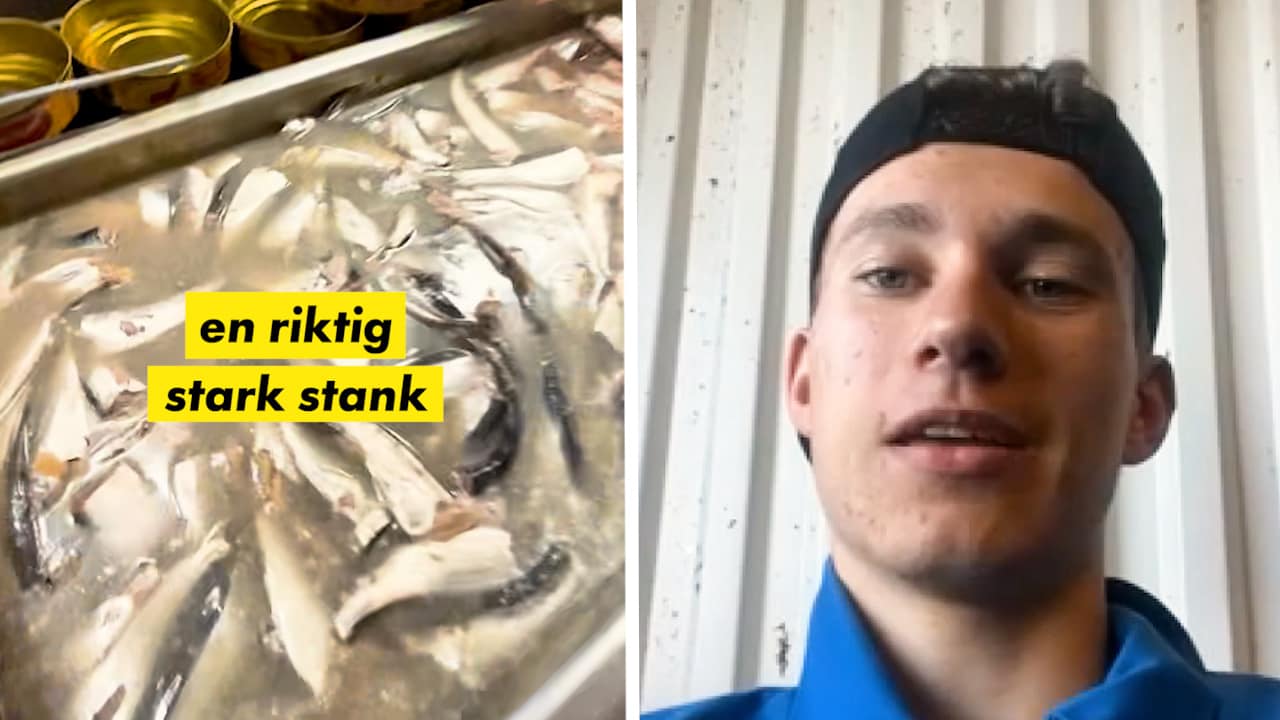Lukas sommarjobbar med surströmming: &ldquo;Folk tror det är ett skämt&rdquo;