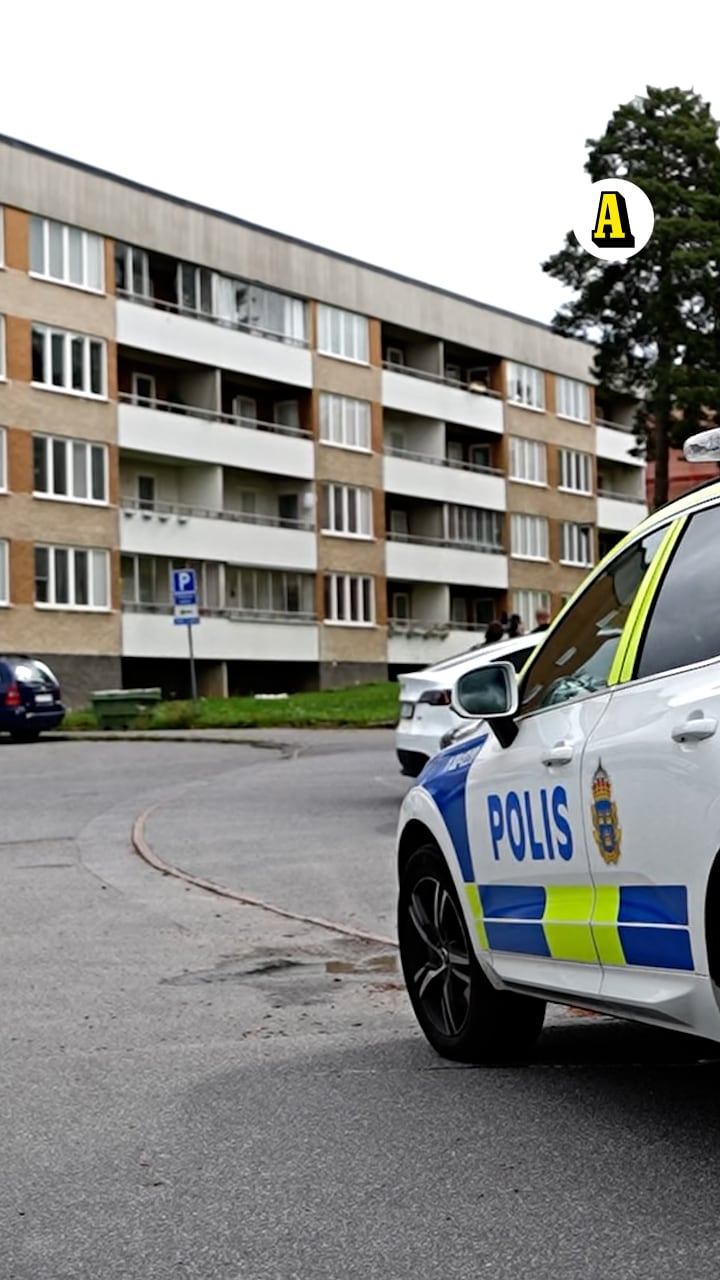 Uppgifter: Skulle begå dåd – sprängde sig själv