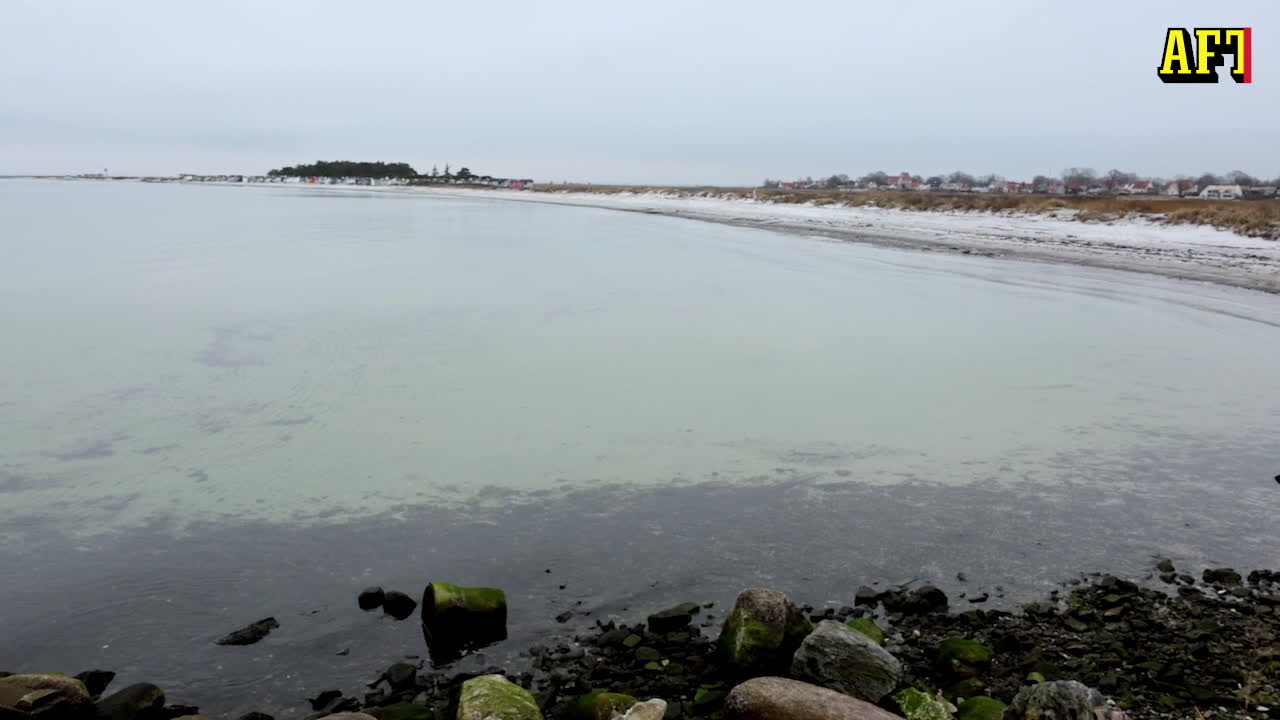 Vittnet: ”Stora delarna av våra naturreservat raderades.”