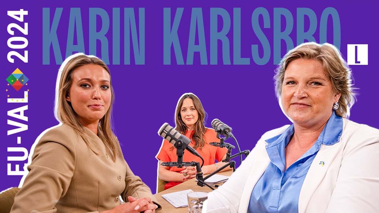 Utfrågningen: Karin Karlsbro (L) vill förbjuda Tiktok