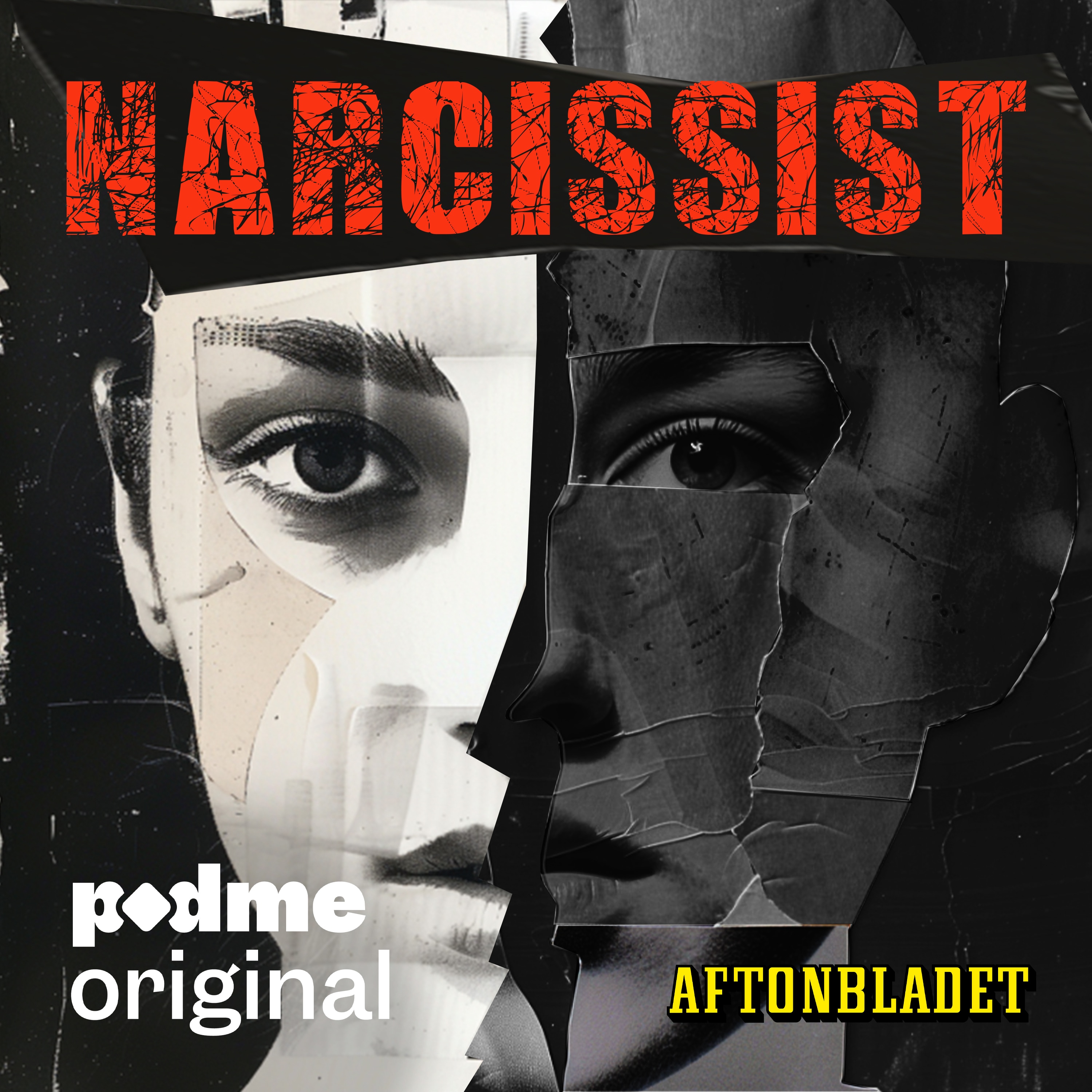 
      Narcissist
    