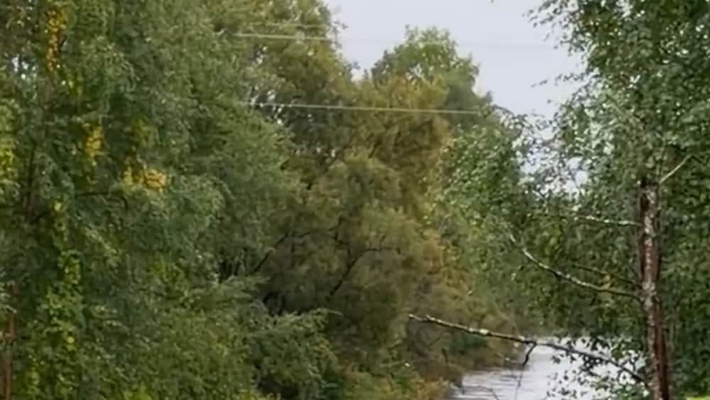 Här flyter hästarnas foder iväg &mdash; orange varning