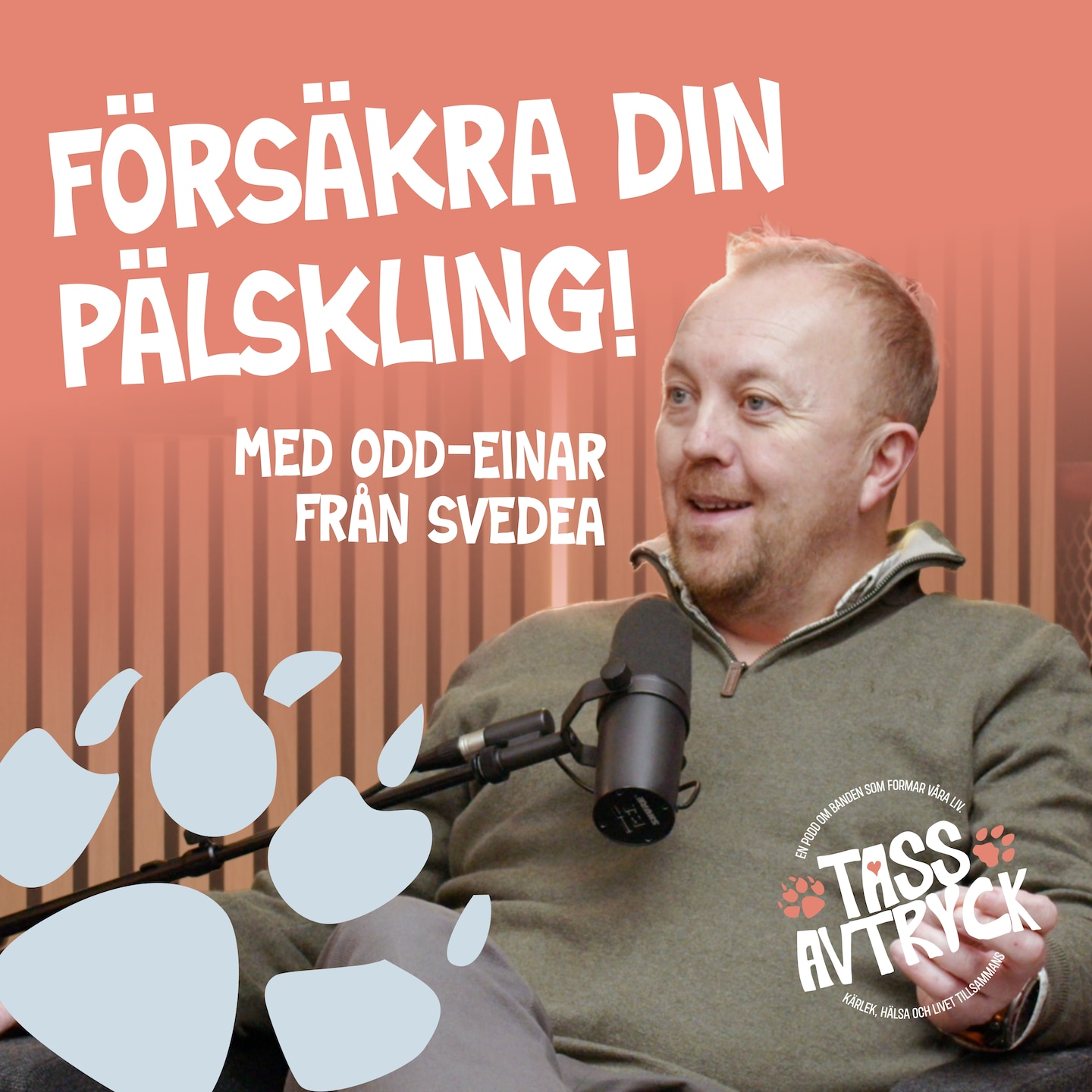 Annons från VAFO: Försäkra ditt husdjur - allt du behöver veta episode artwork