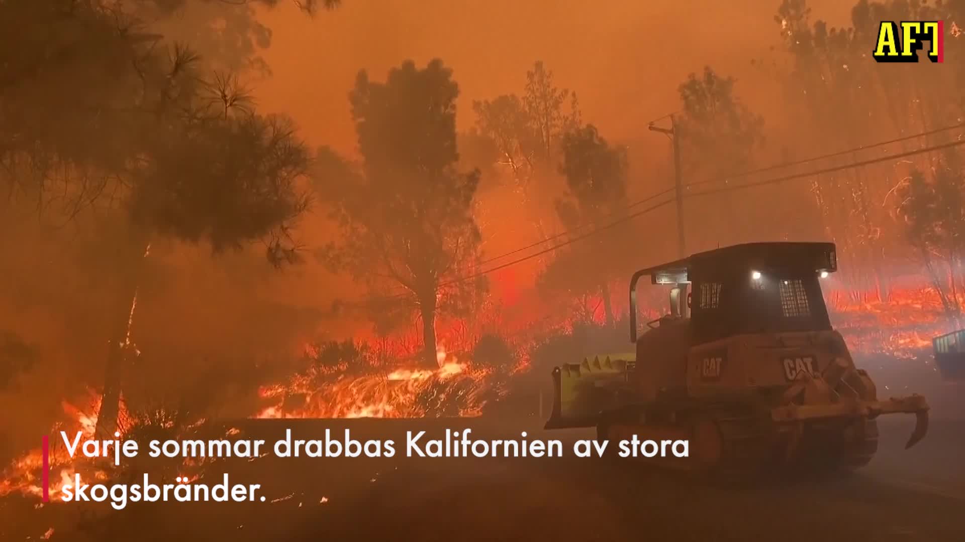 Orsakade årets största skogsbrand – puttade en brinnande bil ner i en ravin