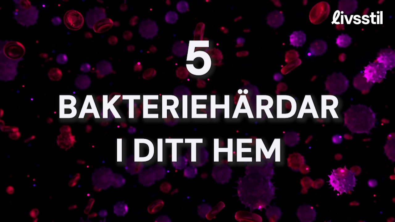 5 bakteriehärdar i ditt hem