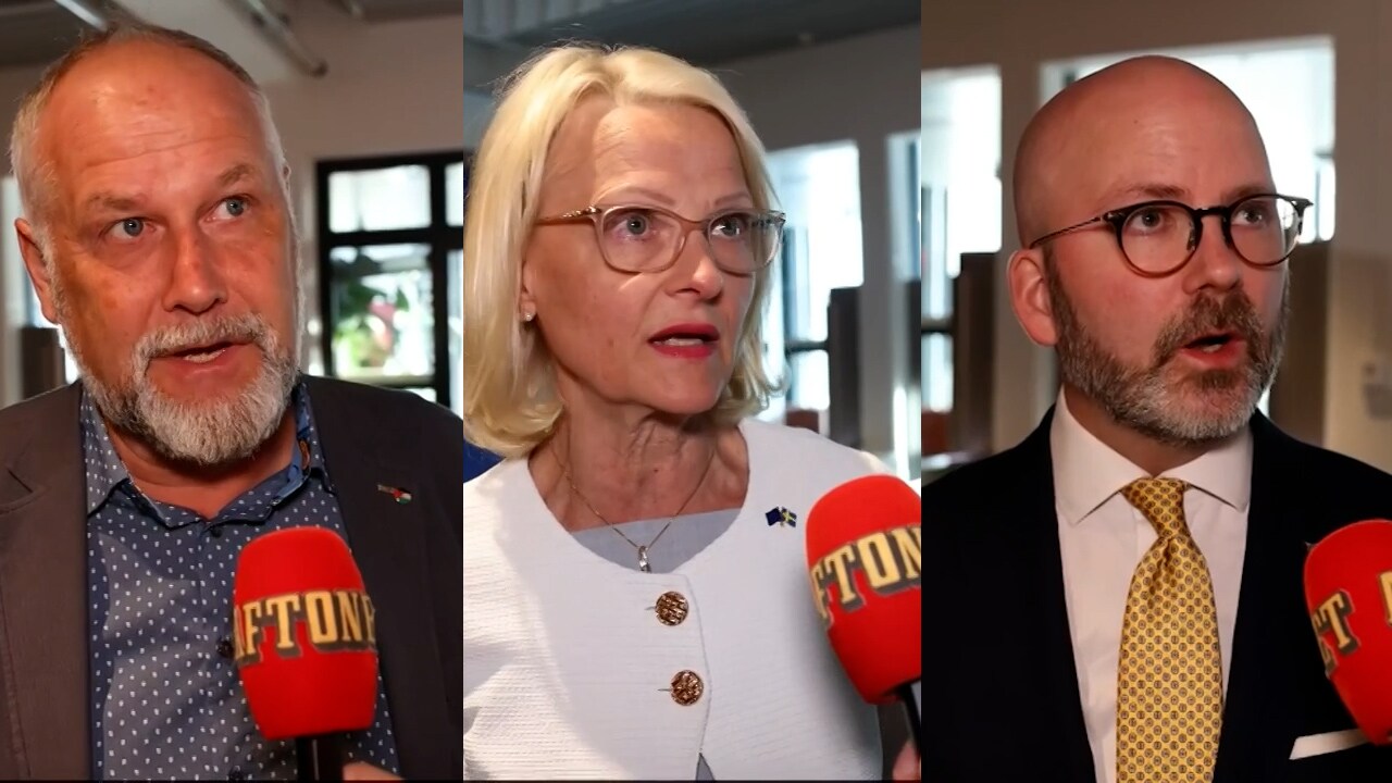 Charlie Weimers (SD): &ldquo;Vi samarbetar gärna med nationalistiska partier&rdquo;