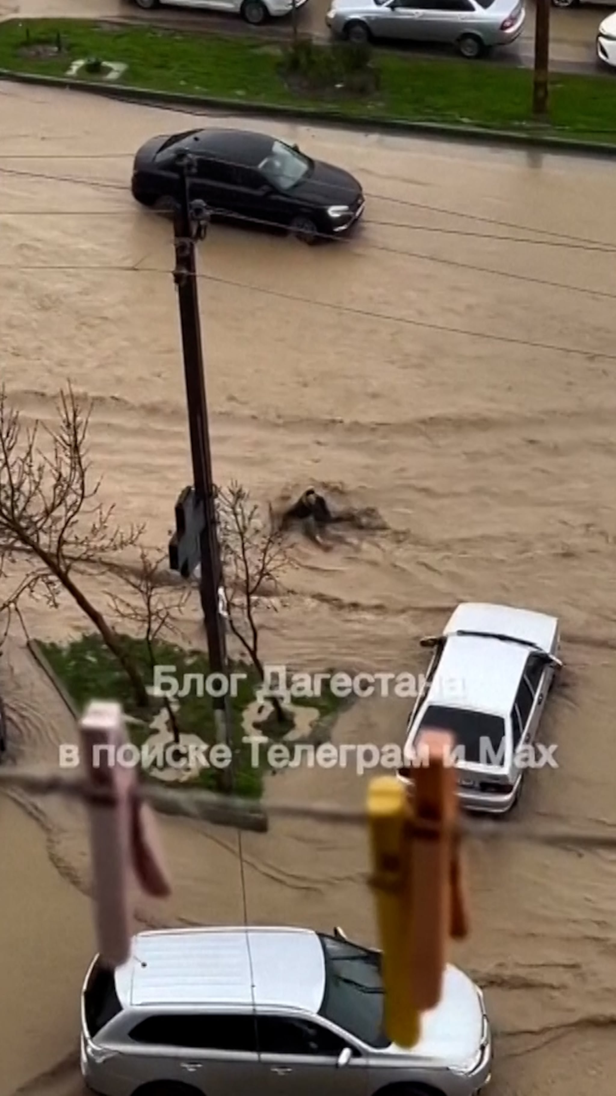 Här sveps folk med i vattenmassorna