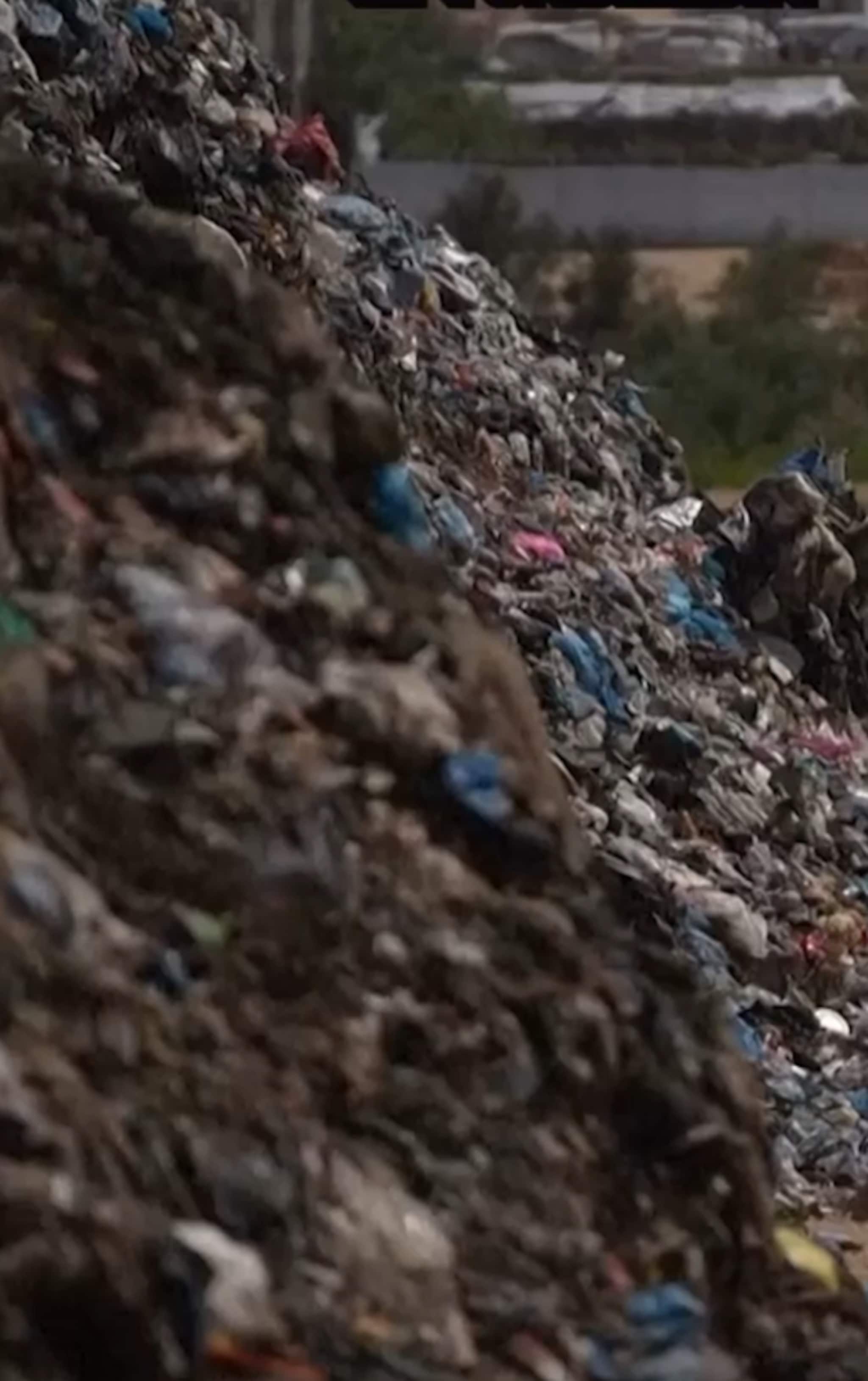 Sopberg tar över Gaza – sprider skabb och loppor 