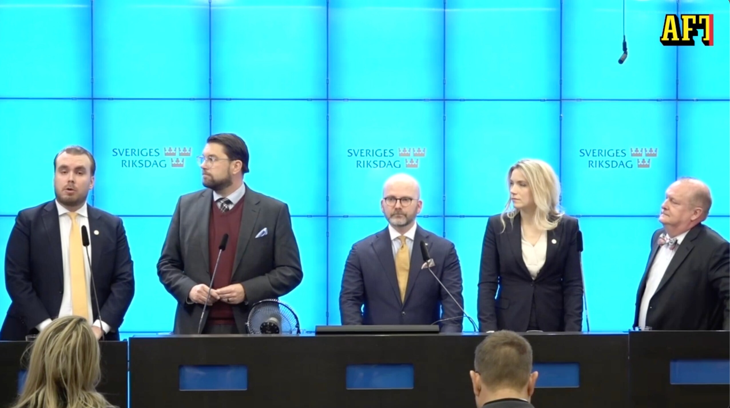 De är SDs toppnamn till EU-valet