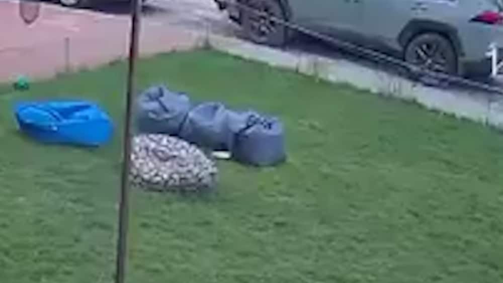 Tvingas kasta sig &ouml;ver dottern f&ouml;r att skydda henne