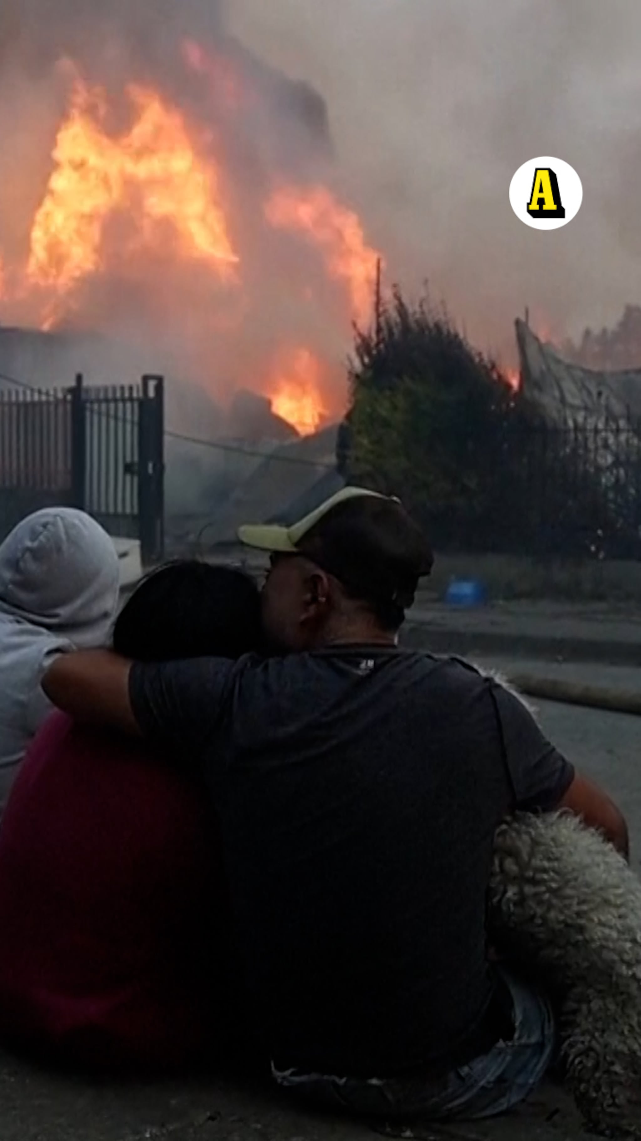 Flera döda i skogsbränder – tusentals evakuerade