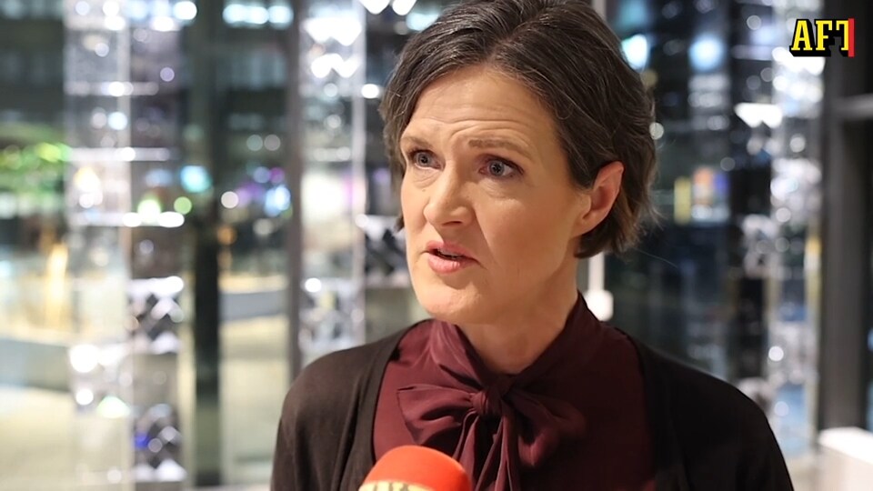 Stormen kring Anna Kinberg Batra – detta har hänt