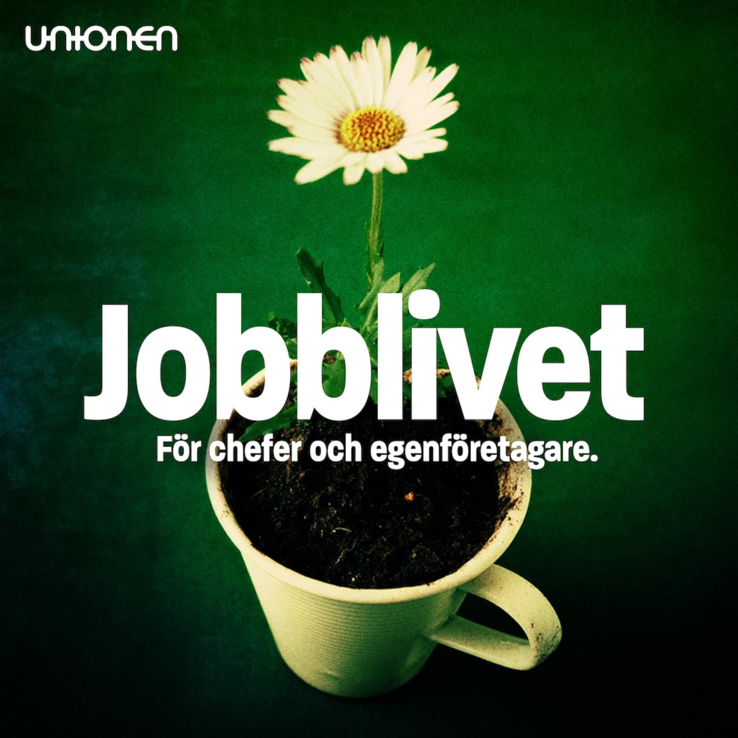 Annons från Unionen: Medarbetarnas perspektiv- chefens möjlighet episode artwork