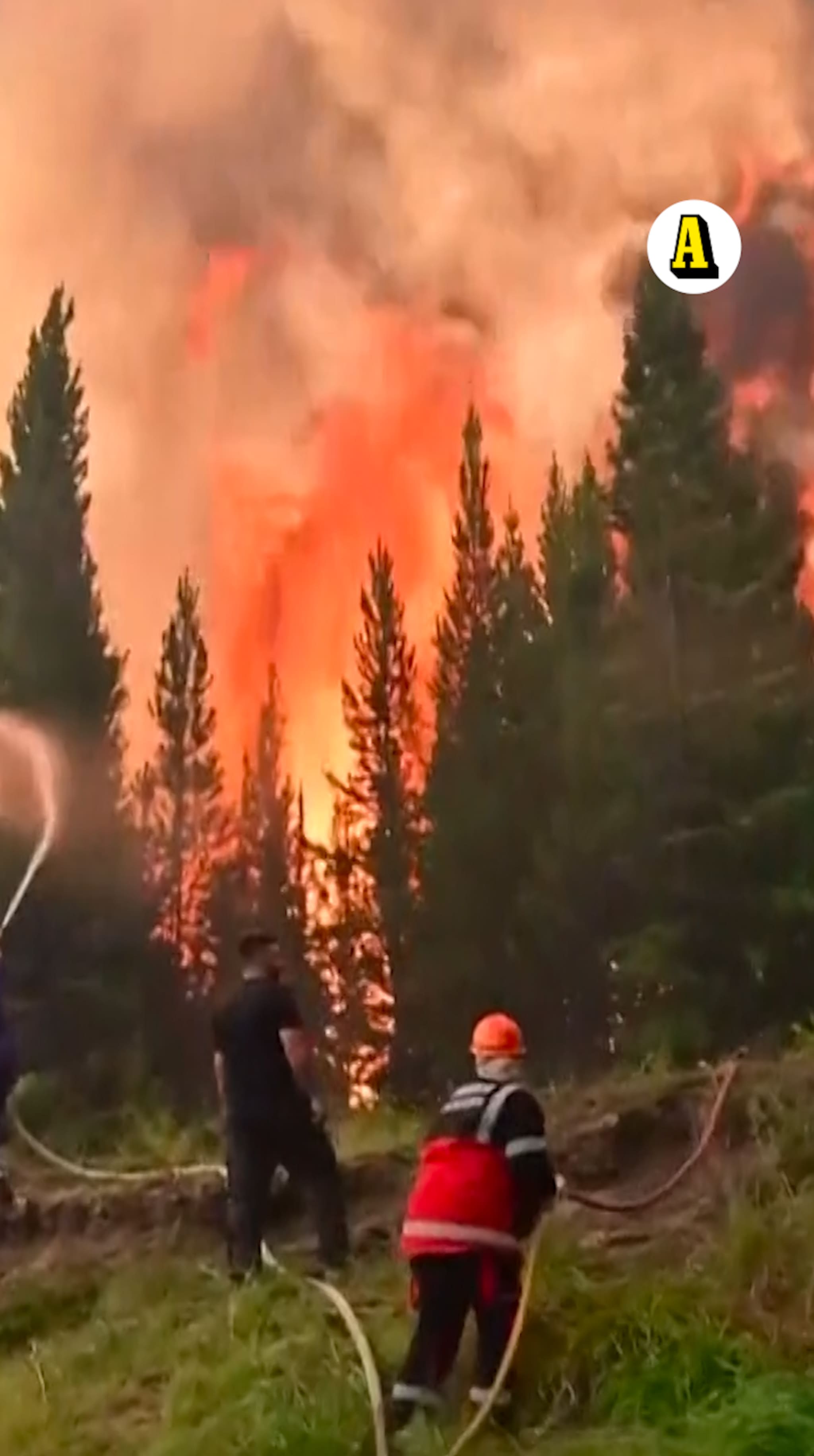 Enorma skogsbränder – tusentals turister evakuerade