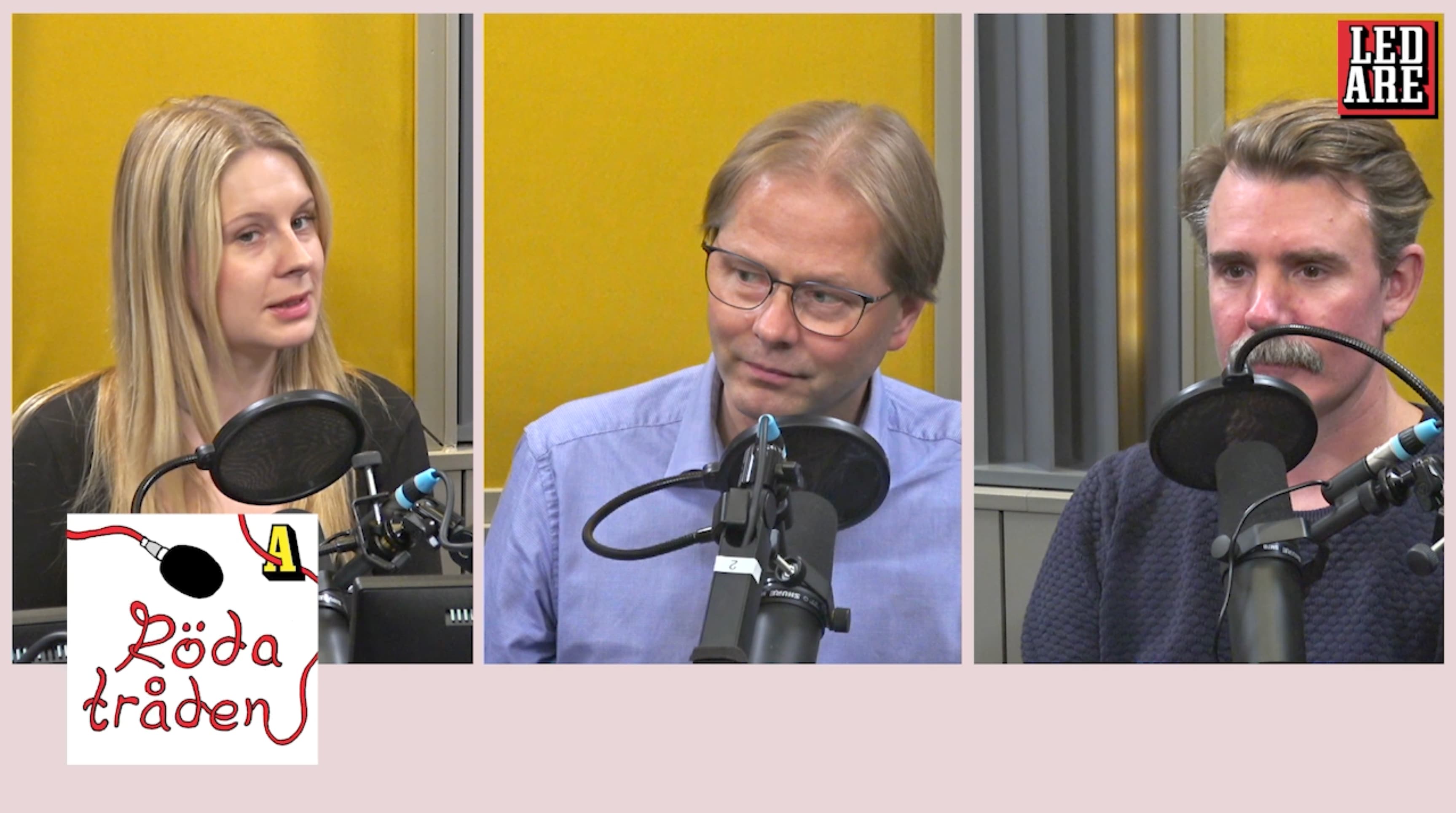 Vill Eva Bush bli minister i en sydstatsregering?