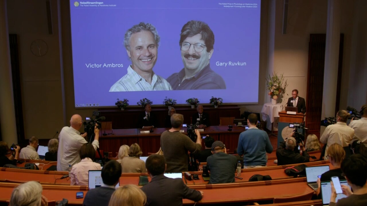 Nobelpriset i medicin går till upptäckten av mikro-RNA – duo delar på priset