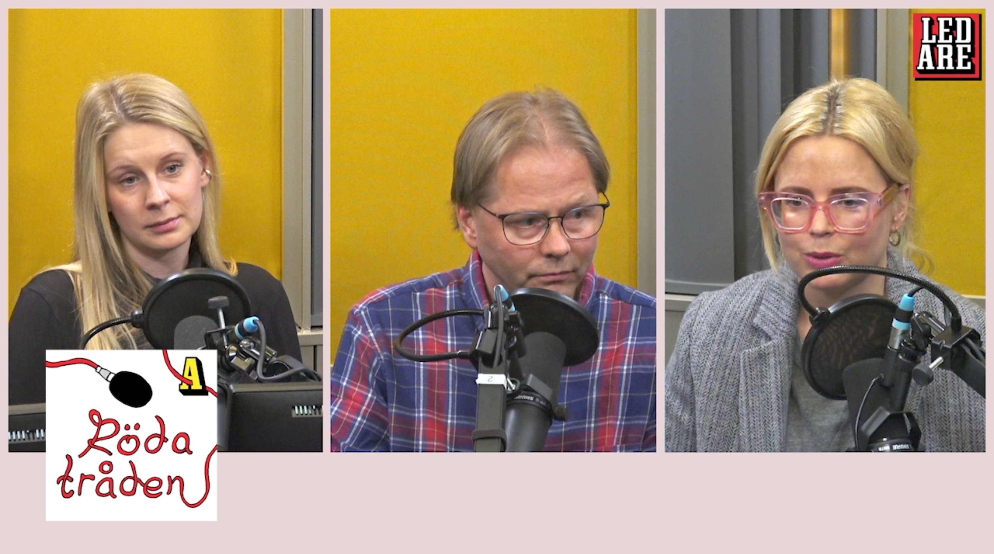 Thand Ringqvist får välja mellan SD och vänstern