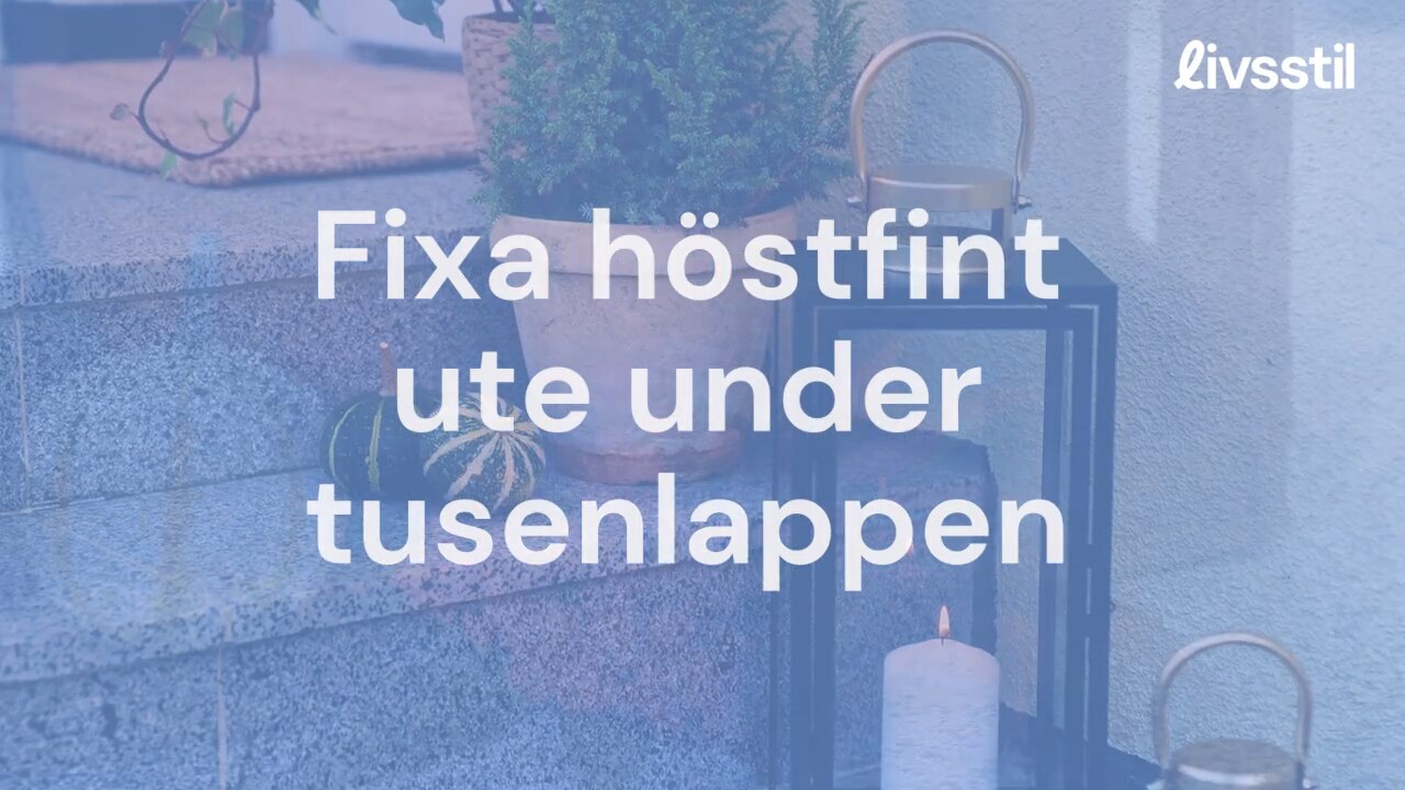 Höstfin entré för under tusenlappen