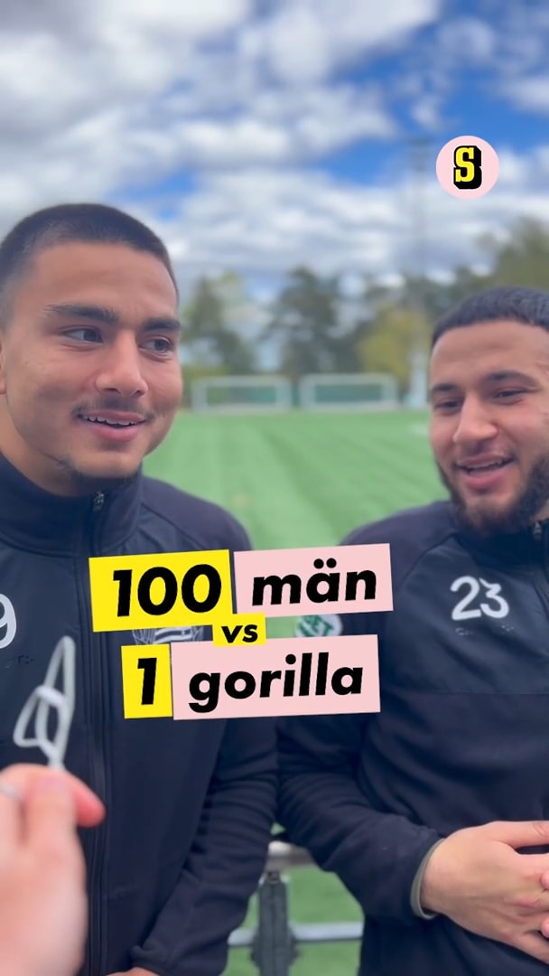 100 Bajen-spelare eller en gorilla?