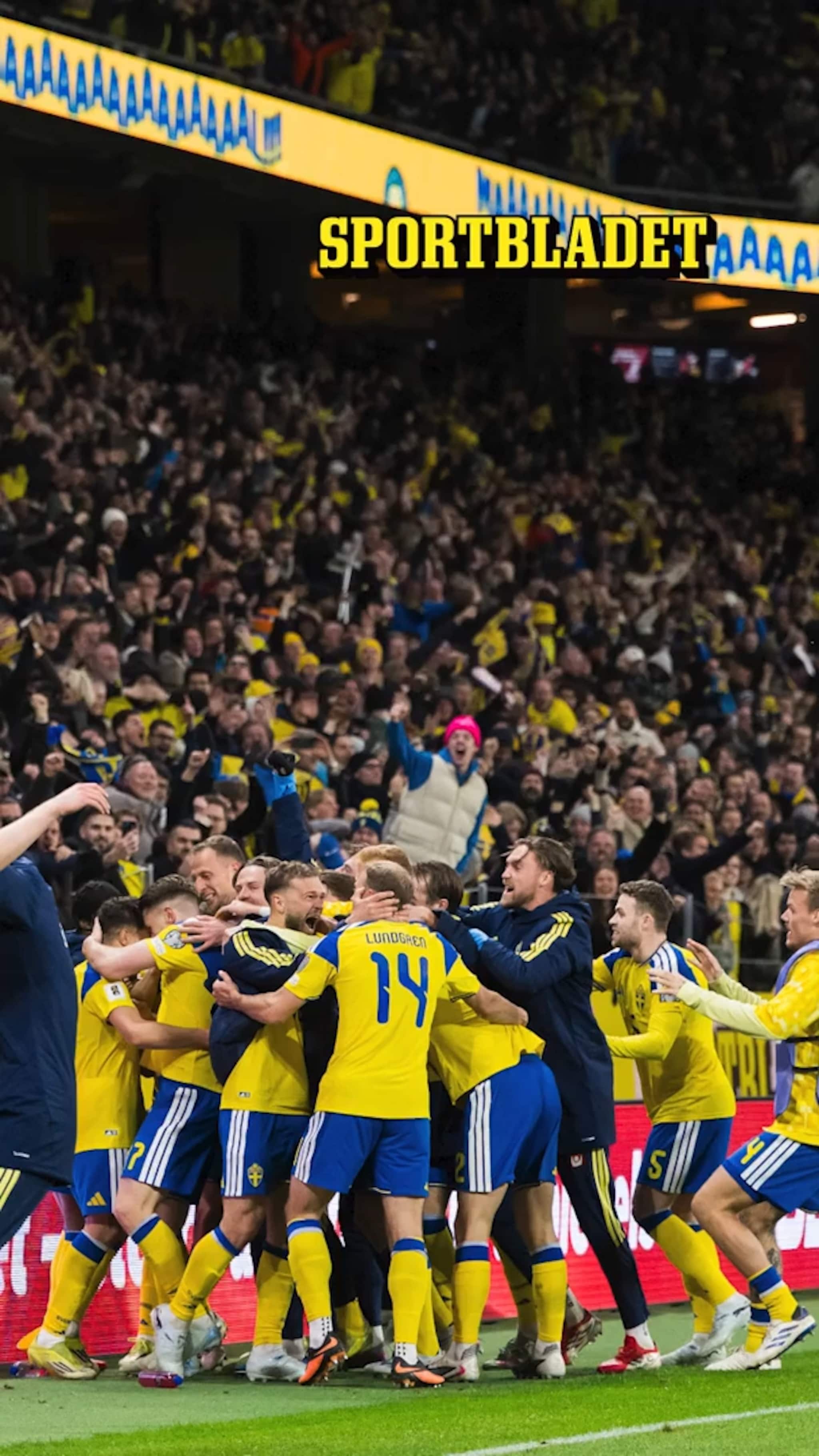 VM-varningen till svenska fansen: ”Åk inte hit”
