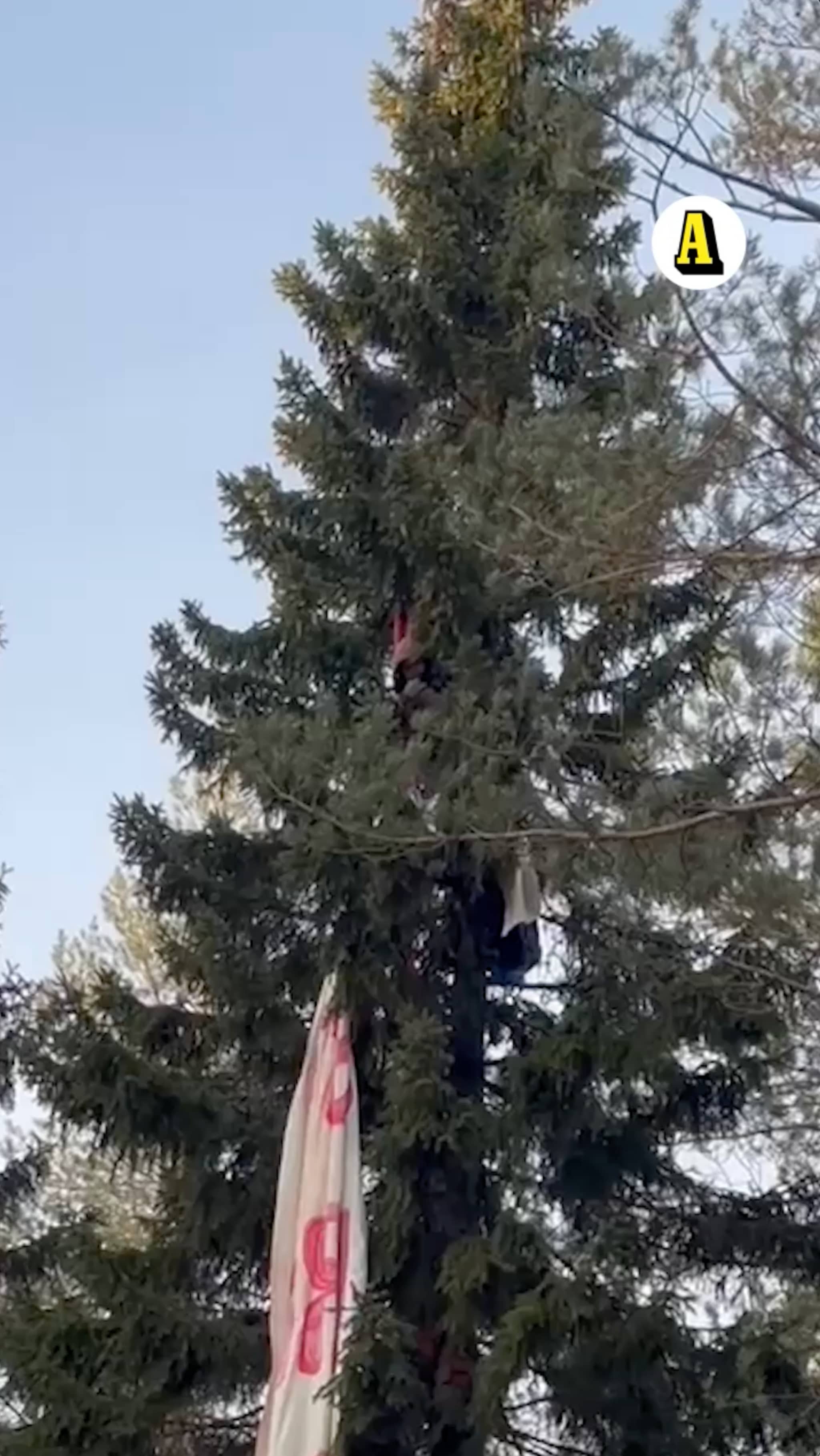 Aktivist hotar att kapa Londongranen