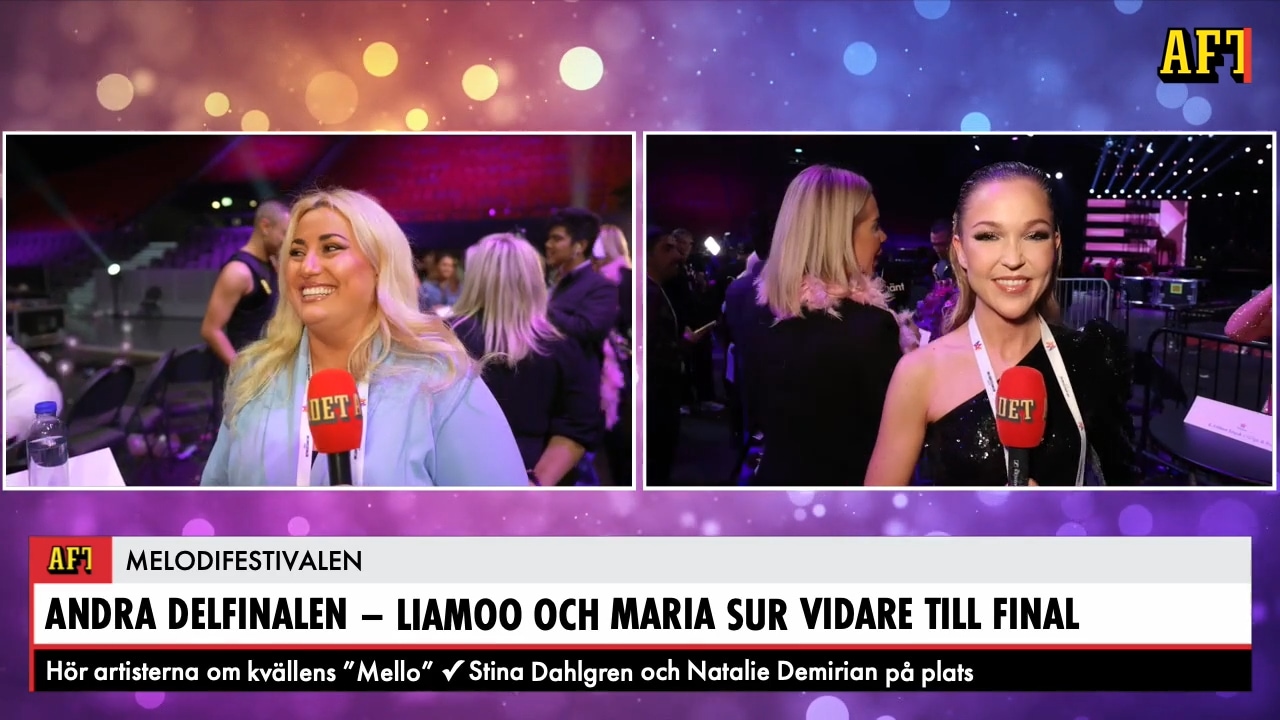 Andra delfinalen – de gick vidare