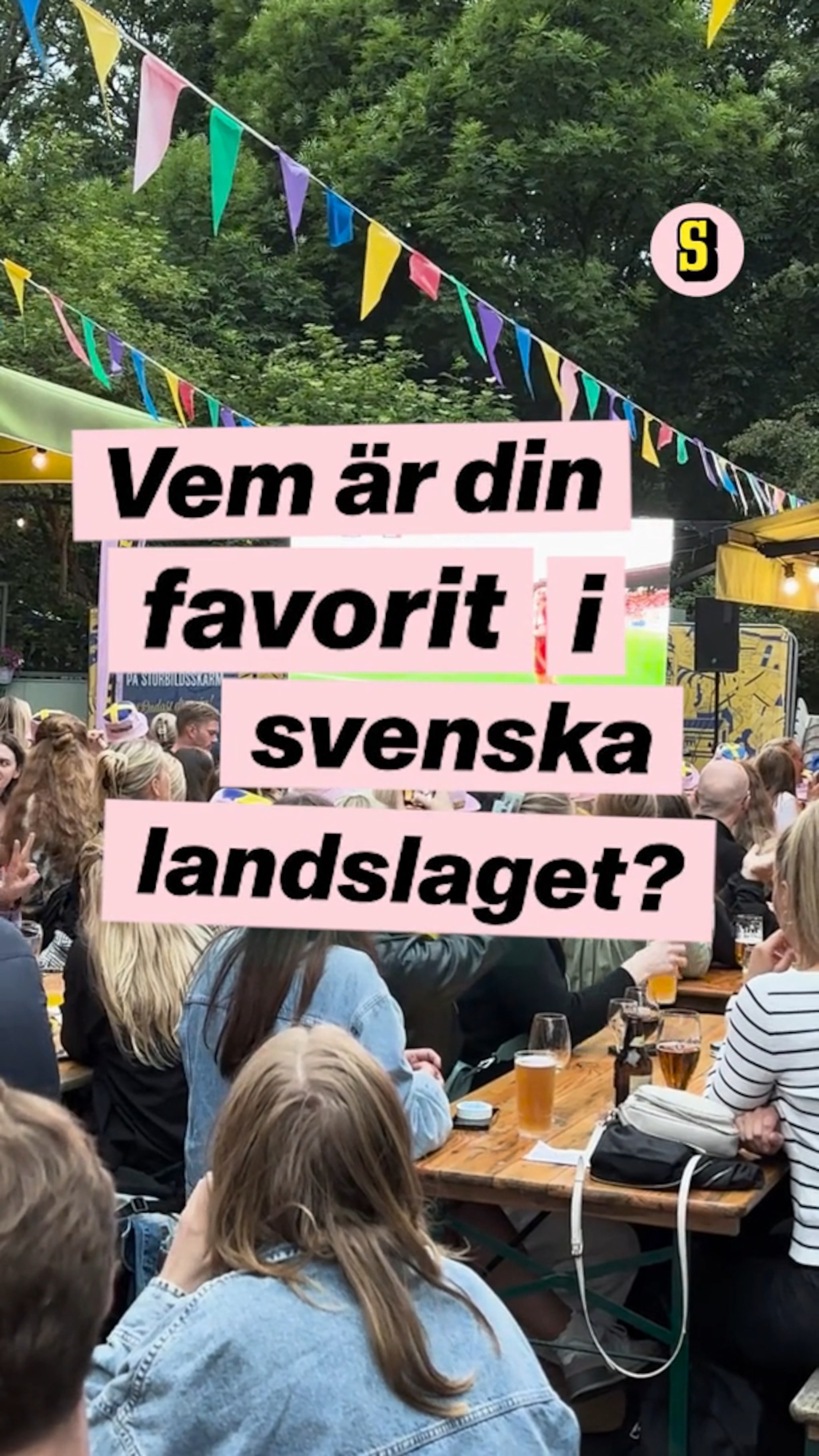Vem är din favorit i svenska landslaget?