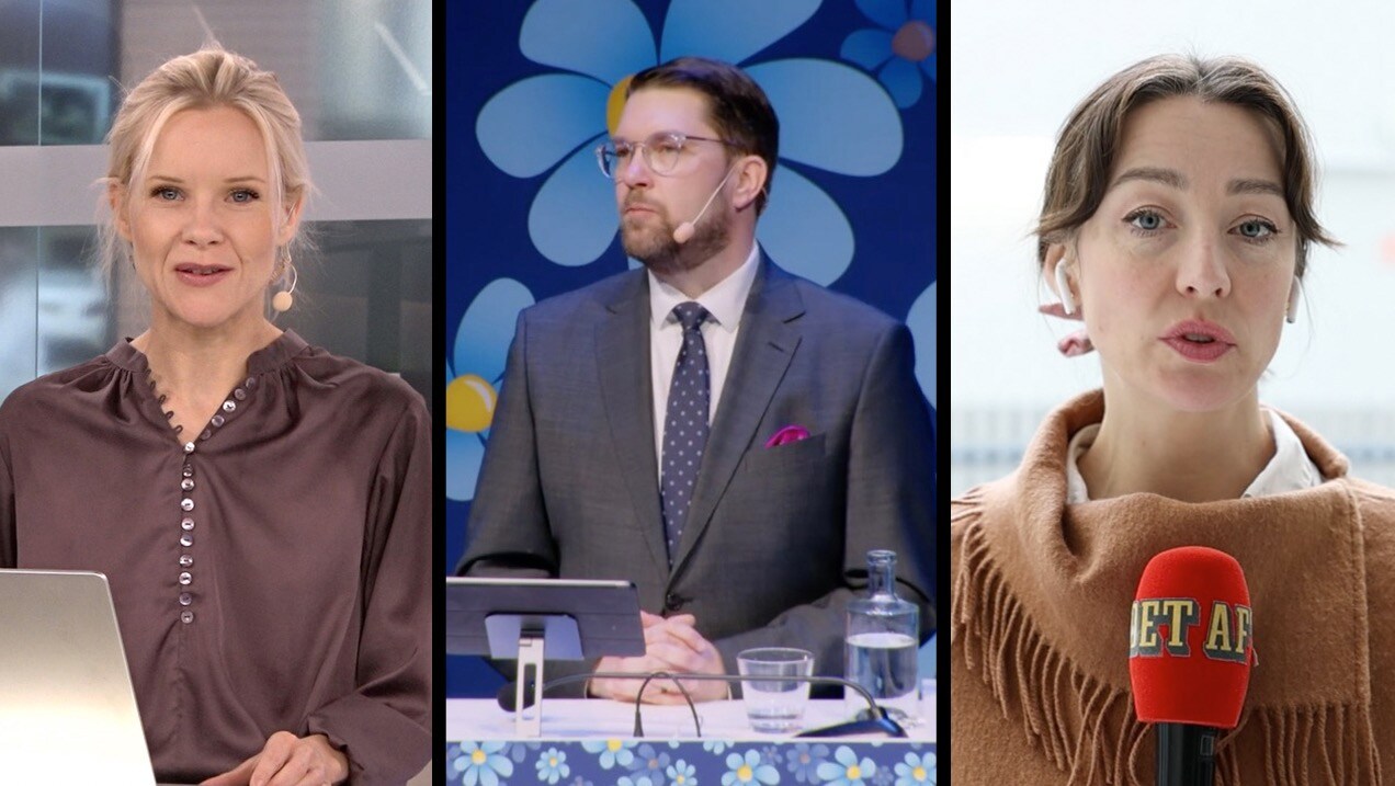 My Rohwedder om Åkessons tal: ”Vill elda på konflikten”