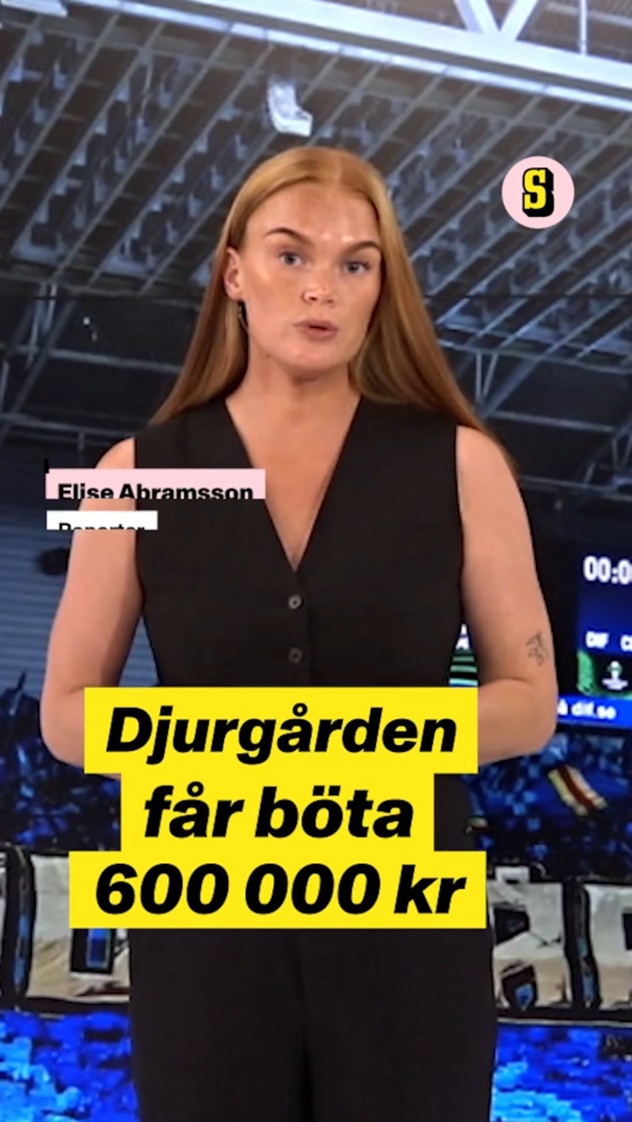 Pyroteknik, skadegörelse och inkastade föremål