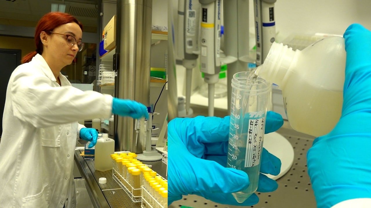 Här avslöjas svenskarnas drogvanor: ”Företag har börjat höra av sig”