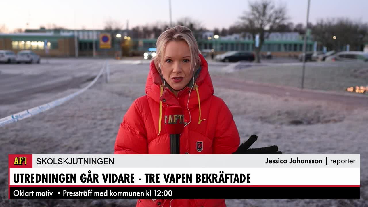 Polisen bekräftar - tre vapen på skolan
