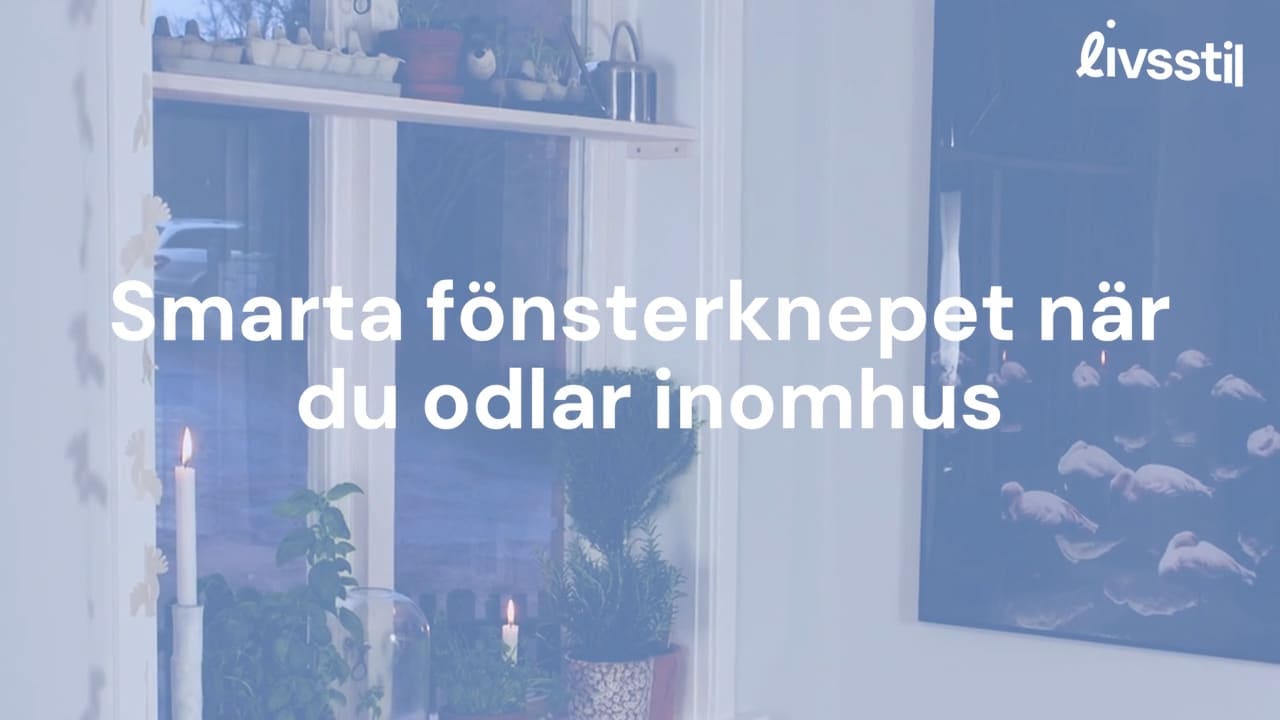 Smarta fönsterknepet när du odlar inomhus