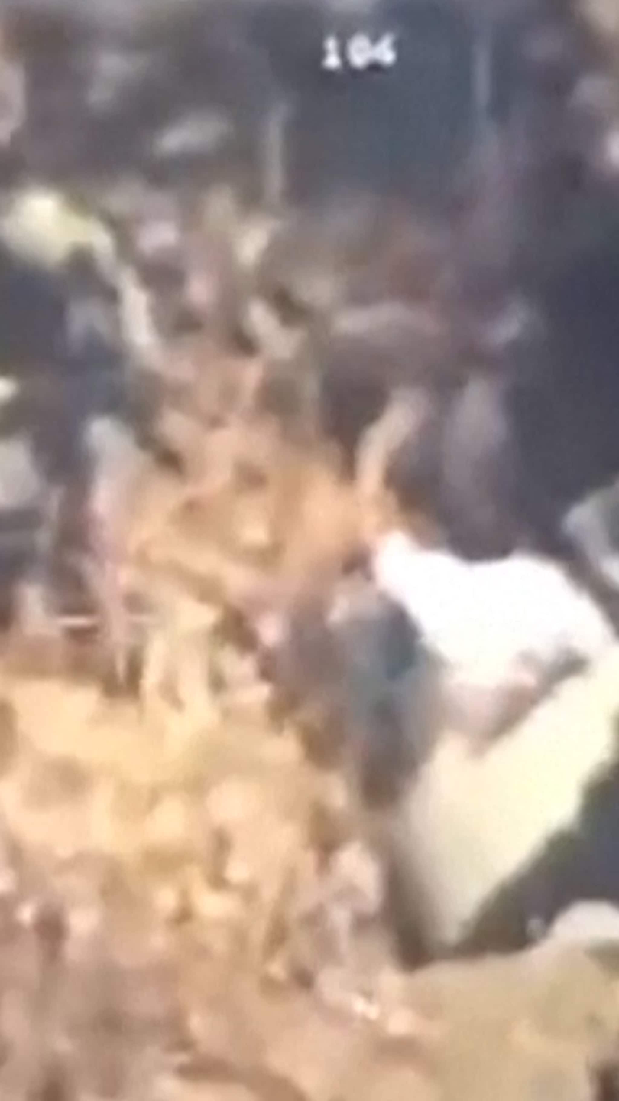 Kartelledare gripen av specialstyrkor