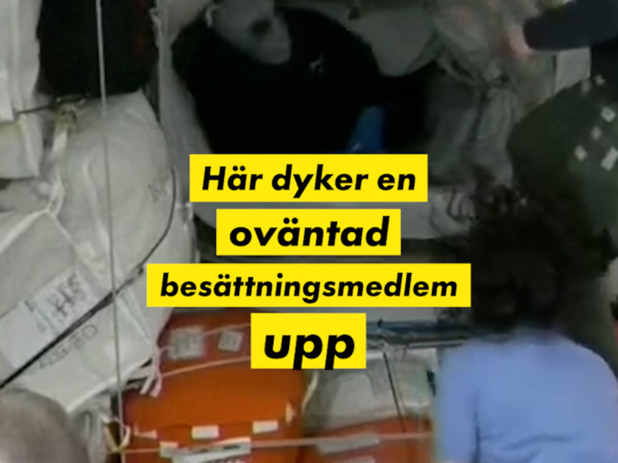 Oväntat besök på rymdstationen