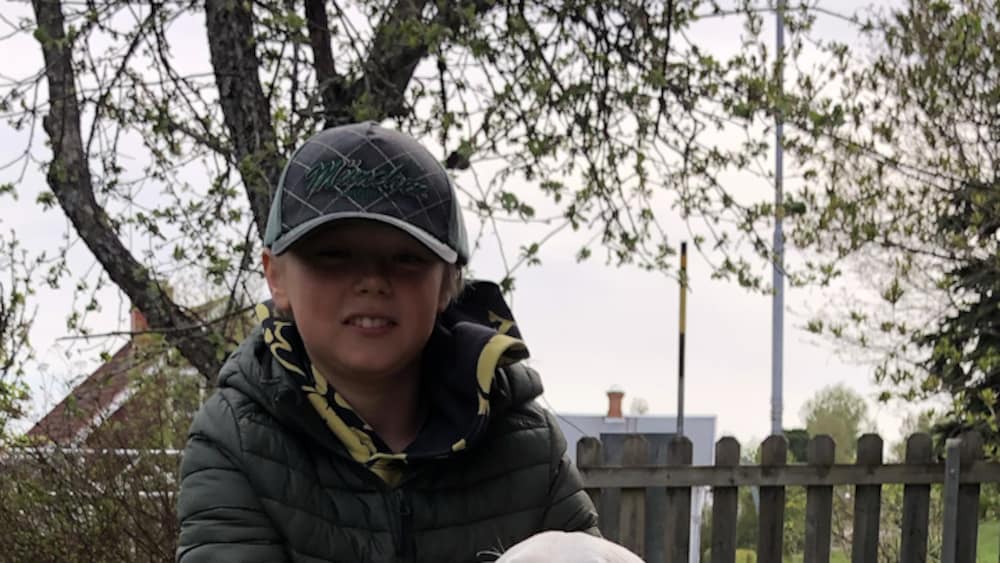 Harry, 12, pantade burkar i &aring;r &ndash; k&ouml;pte hunden Bettan