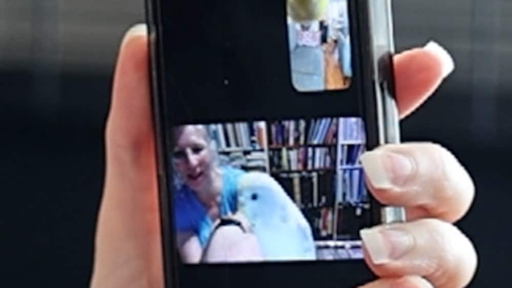H&auml;r facetimear undulaterna: &rdquo;Chattkompisar&rdquo;