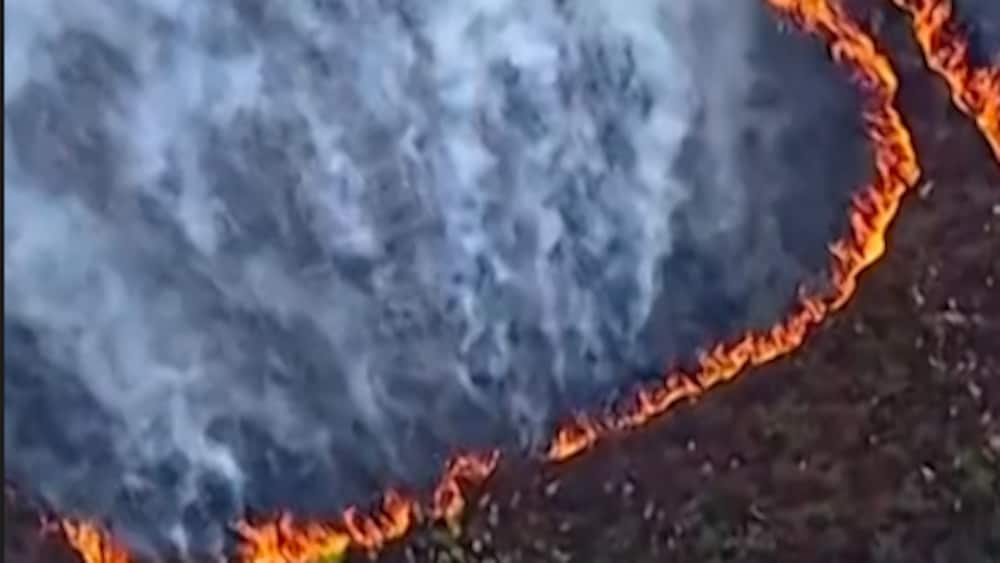 Skogsbrand rasar n&auml;ra k&auml;rnkraftverk