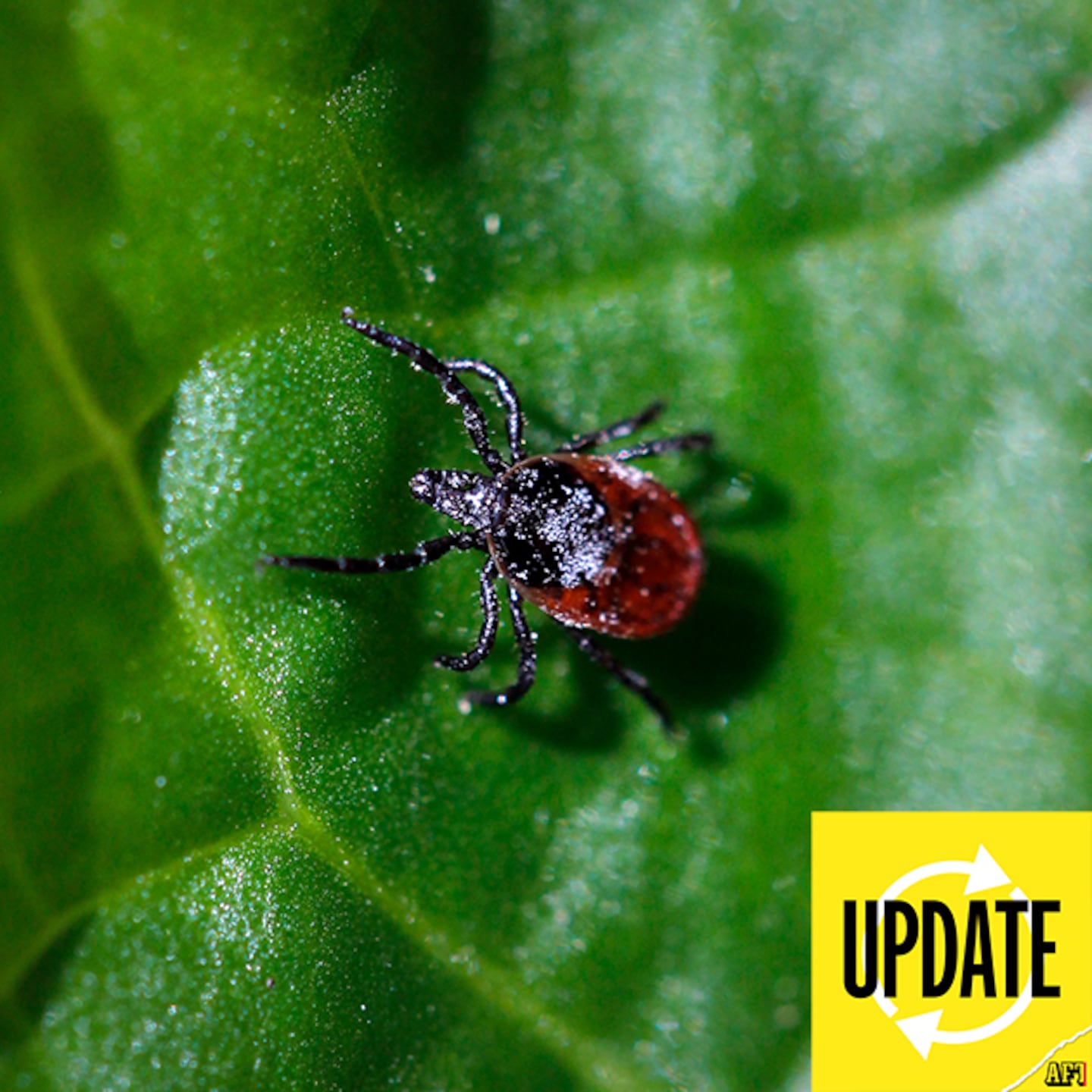 Nyhetssammanfattning – 6 februari 16:00